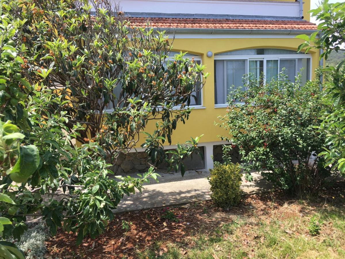 Apartments With A Parking Space Bozava, Dugi Otok - 8108 المظهر الخارجي الصورة
