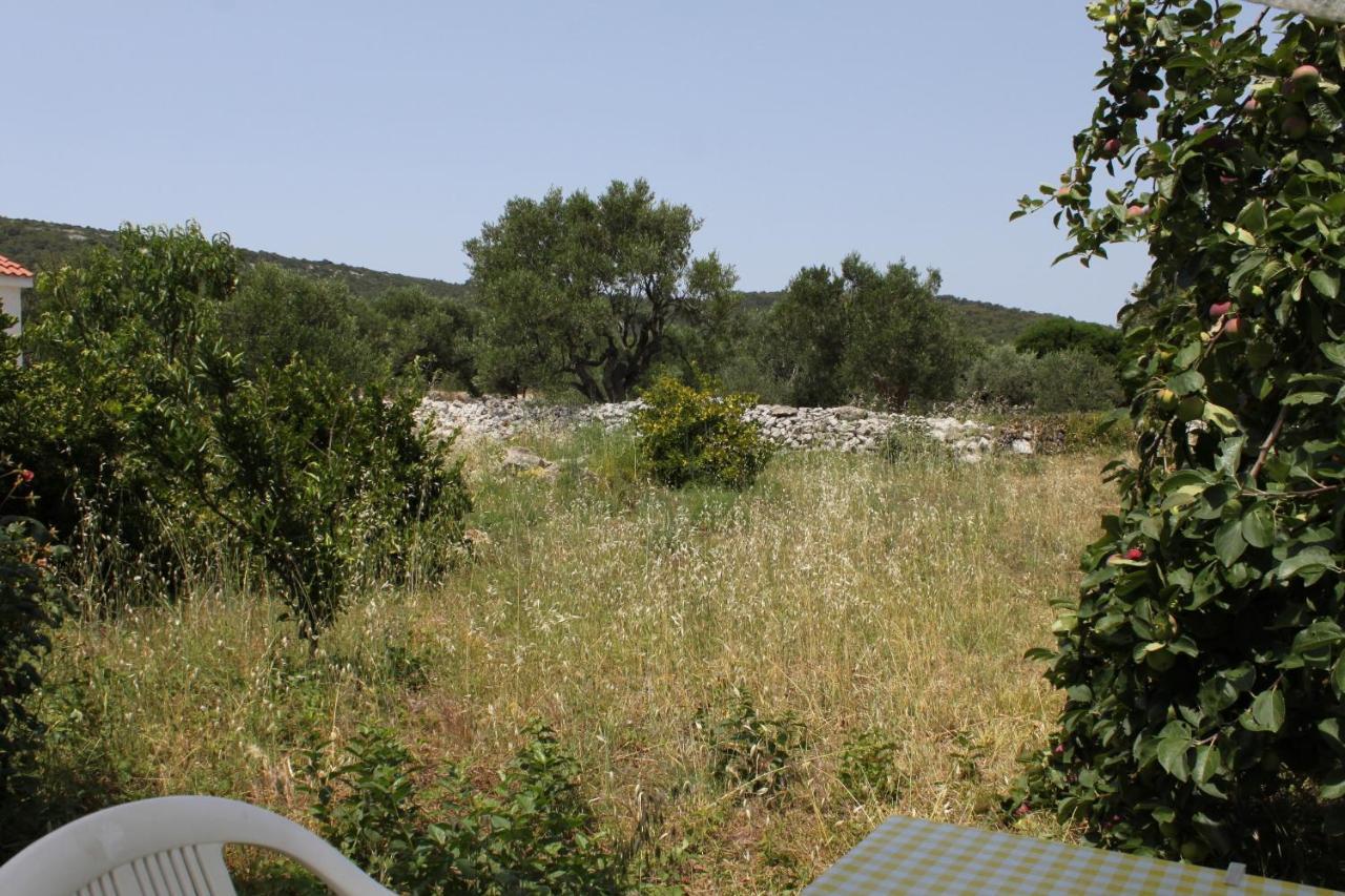 Apartments With A Parking Space Bozava, Dugi Otok - 8108 المظهر الخارجي الصورة